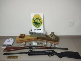 Polícia Militar realiza apreensão de drogas e armas em Rio Azul