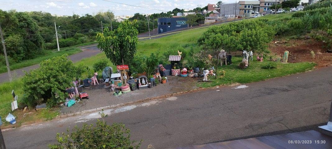 Arte no Quintal: Conheça a história de Dona Marlene Silva e seu mini zoológico!