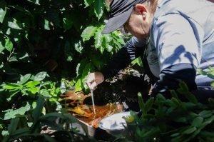 Foto: Gisele Cabrera/Prefeitura de Cambé