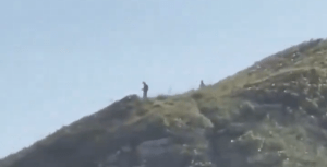 - REPRODUÇÃO TWITTER