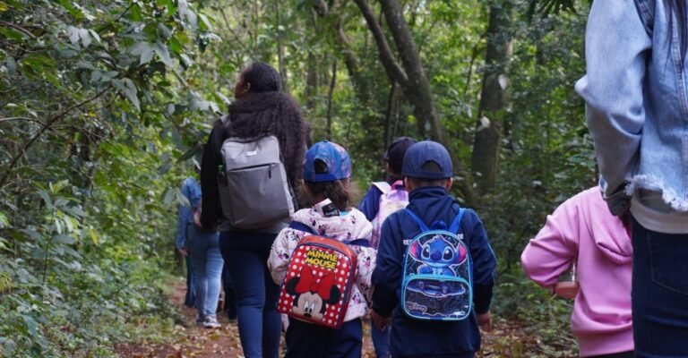 Evento em Londrina destaca importância dos morcegos no Parque Arthur Thomas