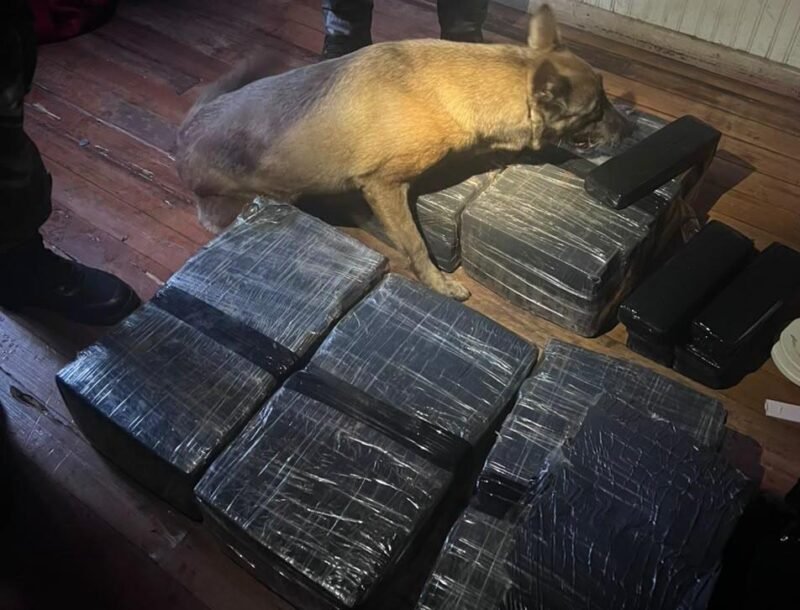 Polícia prende oito e apreende 120 kg de drogas em Cascavel
