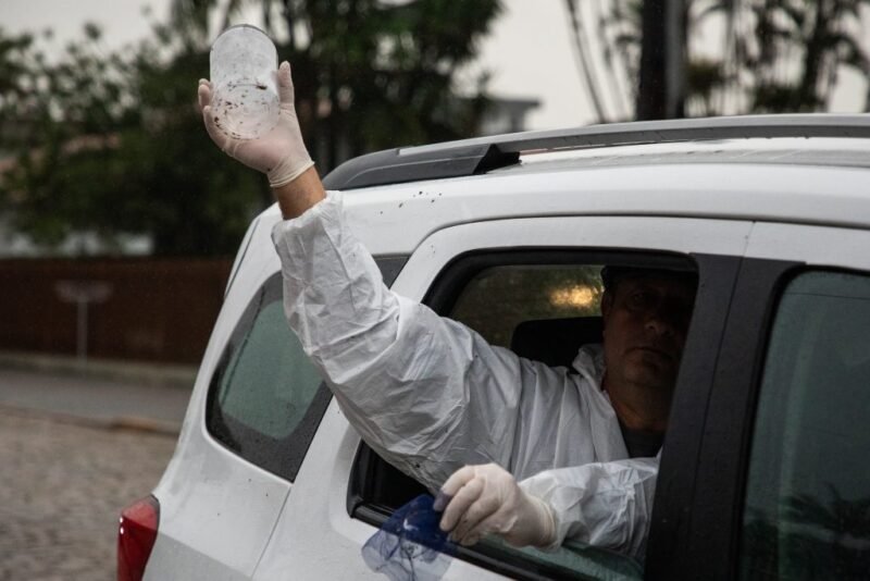 Cambé inicia soltura de mosquitos Wolbachia para combater a dengue