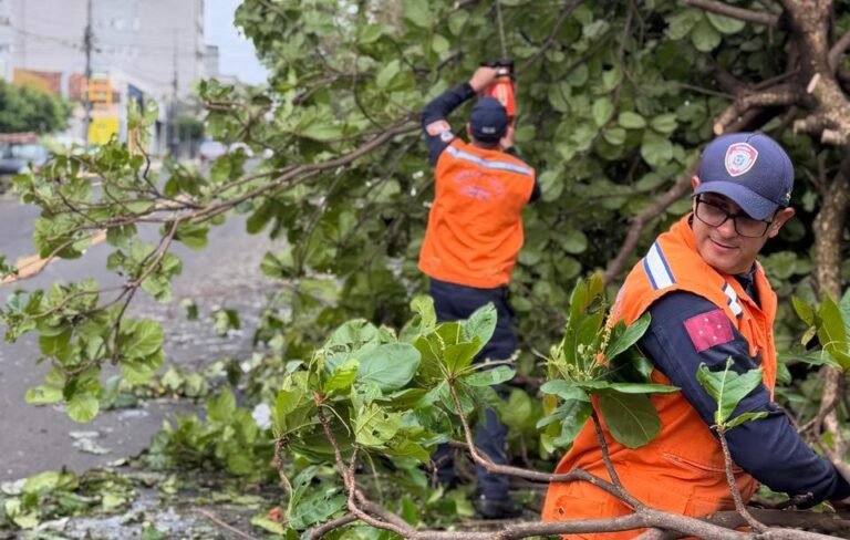 Defesa Civil de Londrina conclui apoio emergencial em Apucarana