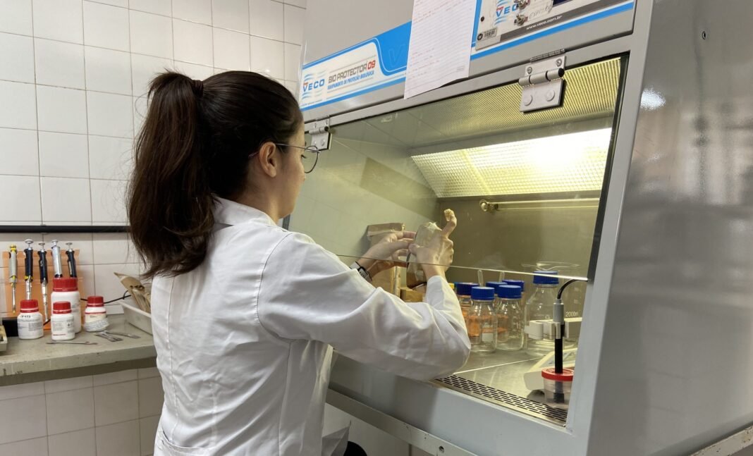 Simpósio Gratuito Celebra 50 Anos de Pós-Graduação em Ciência de Alimentos na UEL