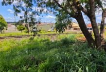 Corpo é encontrado próximo à linha férrea do Cambé Quatro neste sábado