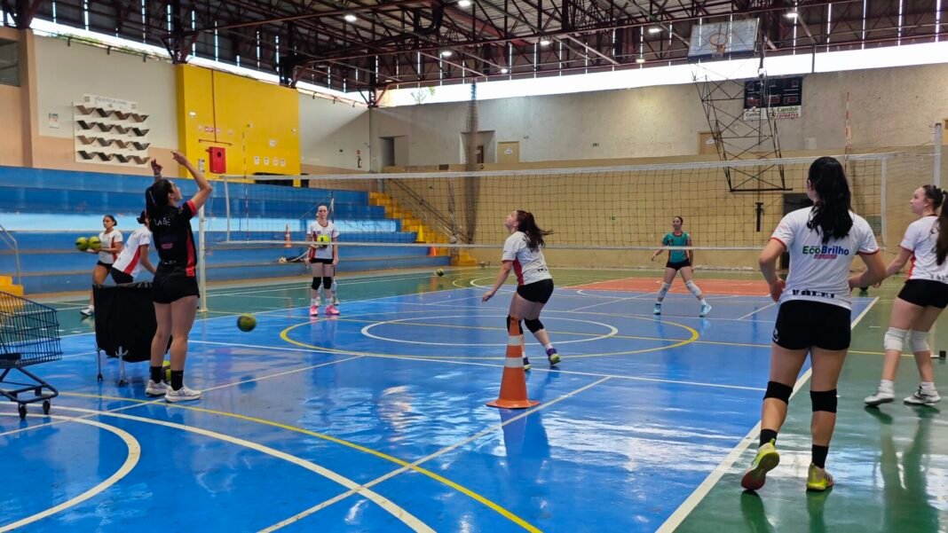 Cinco atletas de Cambé são convocadas para laboratório da Seleção Paranaense de Vôlei