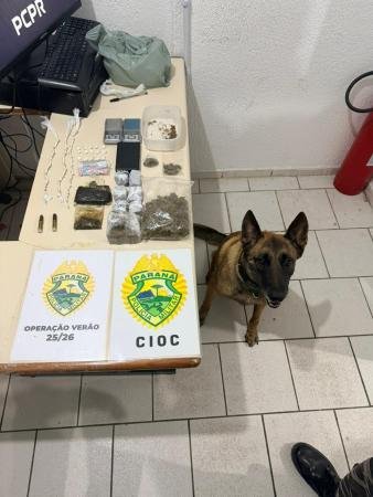 Cão Policial Localiza Grande Depósito de Drogas em Guaratuba