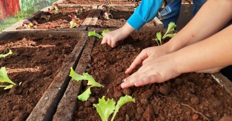 Semana da Alimentação reúne mil pessoas em ações educativas em Londrina