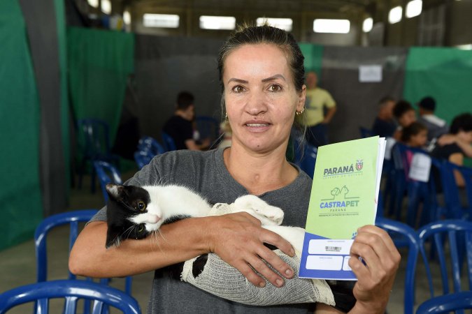Estado Expande Castração de Gatos para Combater Esporotricose Estado Expande Castração de Gatos para Combater Esporotricose