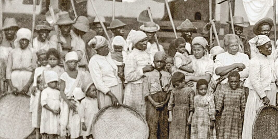 Livro Explora Escravidão Infantil no Século 19 e Impactos Atuais Livro Explora Escravidão Infantil no Século 19 e Impactos Atuais