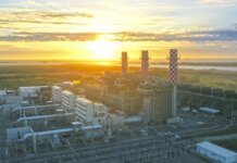 Organizações Criticam Poluentes em Leilão de Energia