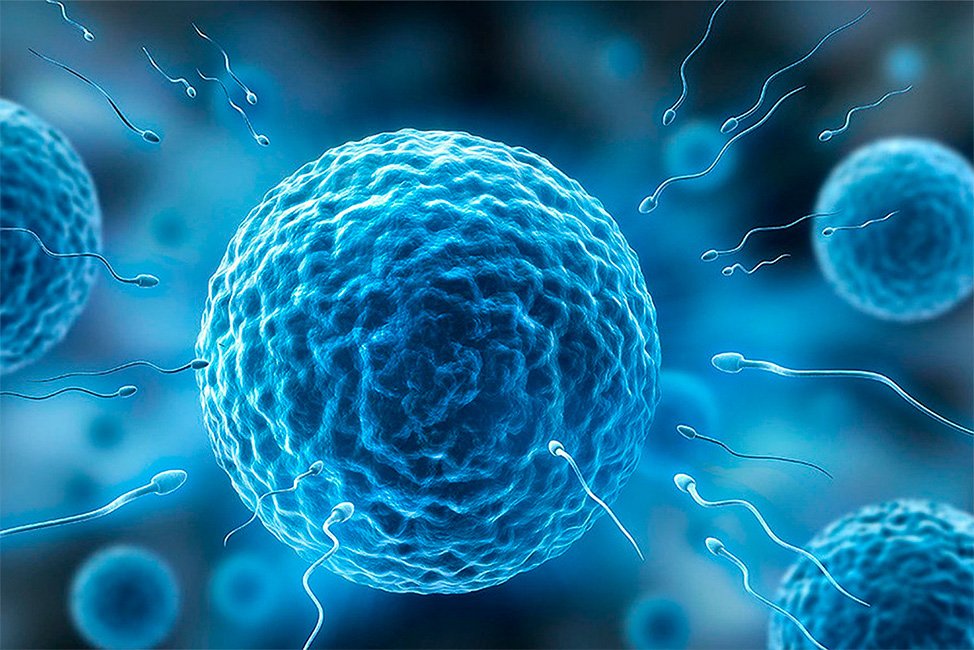 Estudo da UEL Explora Impactos do Clorpirifós na Infertilidade