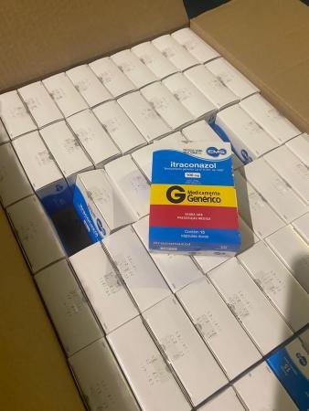 Paraná Distribui Mais de 310 Mil Cápsulas de Medicamento para Esporotricose Felina