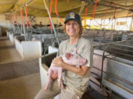 Empresas Femininas Captam R$ 151 Milhões em Programa do BRDE