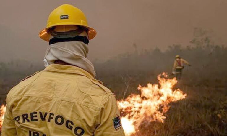 Incêndios no Amazonas têm queda após força-tarefa intensificar ações