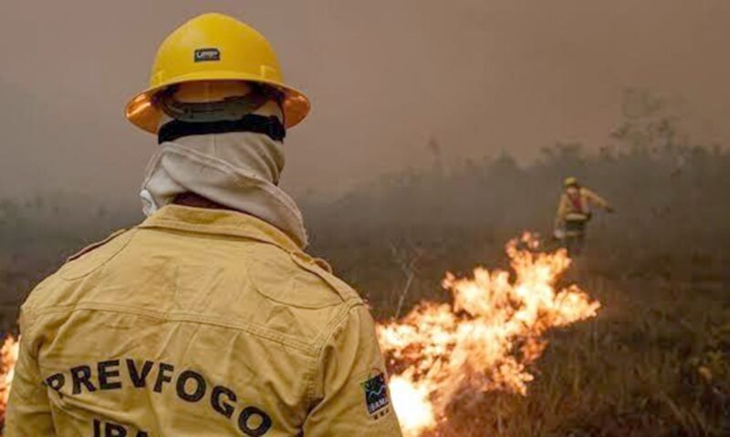 Incêndios no Amazonas têm queda após força-tarefa intensificar ações