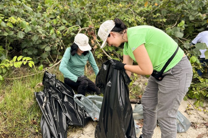 Mutirão da Portos do Paraná Recolhe Quase 200 kg de Resíduos em Manguezais Mutirão da Portos do Paraná Recolhe Quase 200 kg de Resíduos em Manguezais