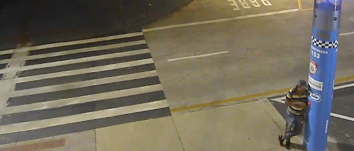 Homem Recebe Condenação de Oito Meses por Homicídio no Bosque Central de Londrina