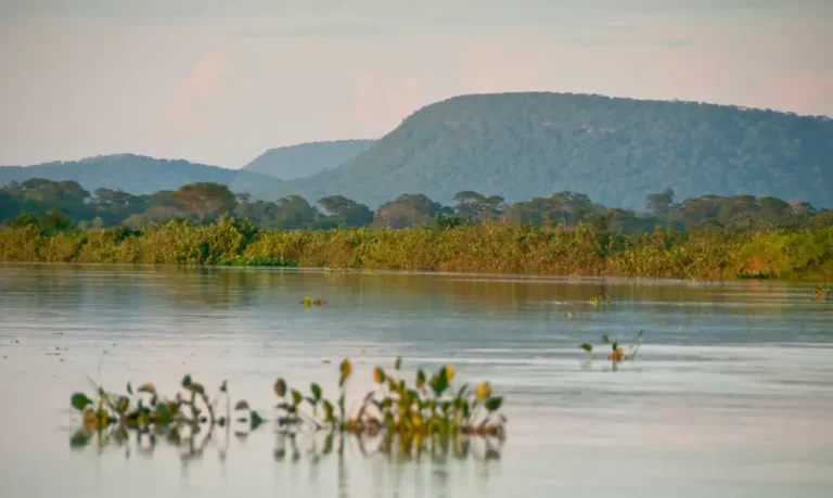 Cerrado perde 13,9 milhões de hectares nas margens dos rios