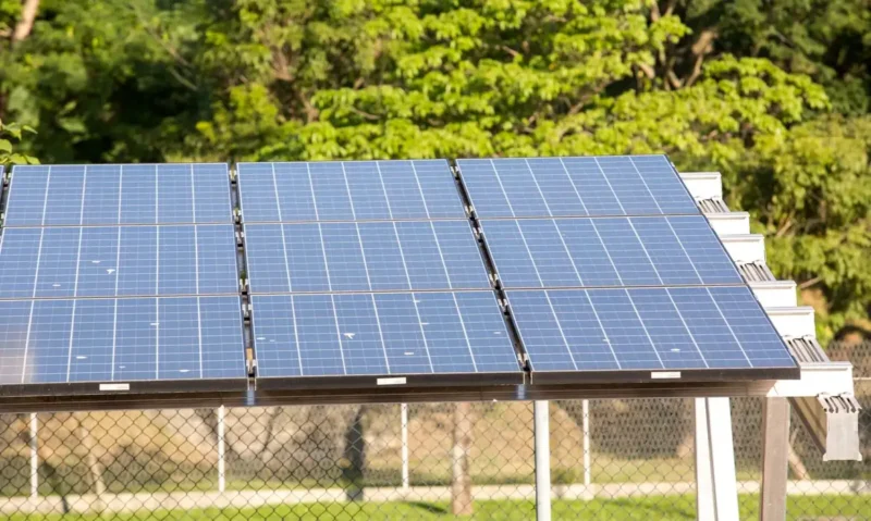Leilão do Eco Invest Brasil aprova R$ 49,95 bi para projetos verdes