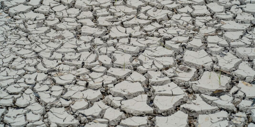 Estiagem no Nordeste: Emergência Declarada em 15 Cidades Estiagem no Nordeste: Emergência Declarada em 15 Cidades