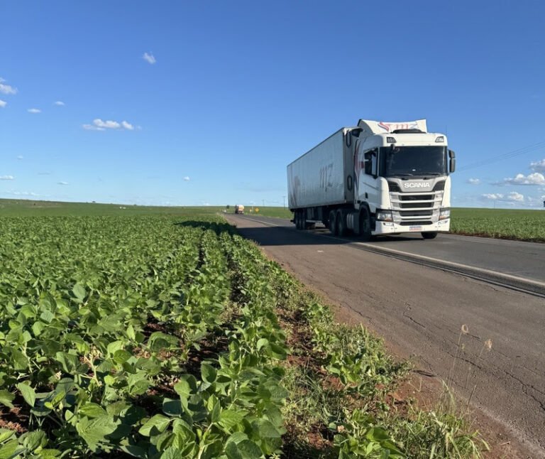 Plantio às margens de rodovia - Crédito: Comunicação PRVias