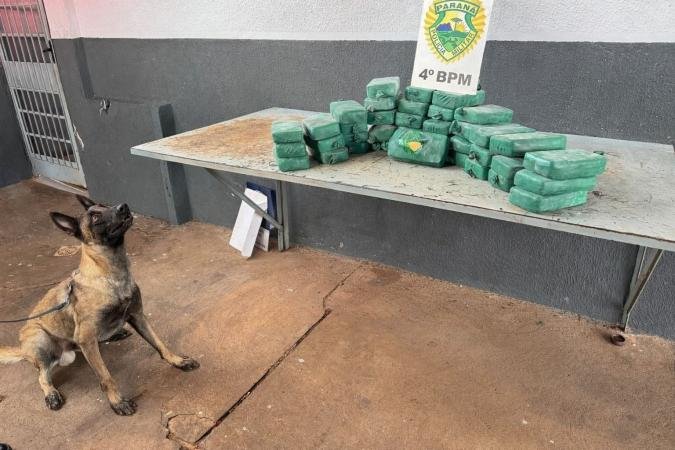 Polícia Militar apreende grande quantidade de crack em fundo falso de veículo em Maringá