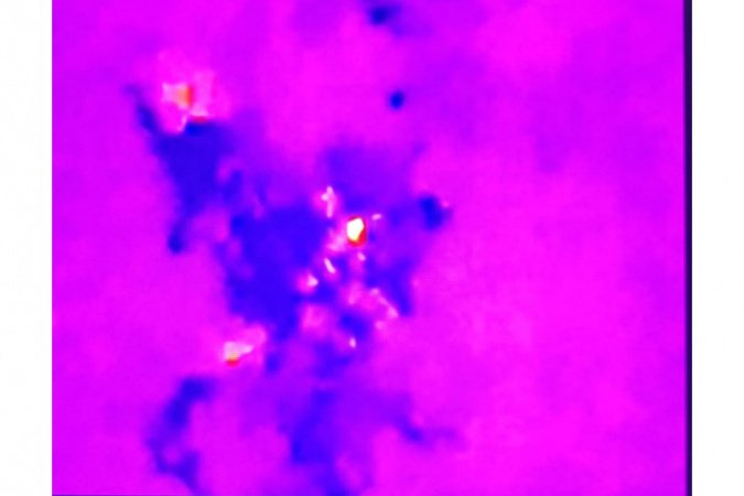 whatsapp_image_2026-03-21_at_10.53.49_1