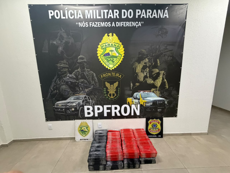 Polícia apreende 136 kg de maconha e prende suspeito na BR-277